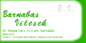 barnabas vilcsek business card
