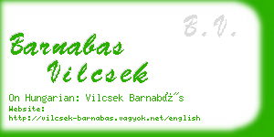 barnabas vilcsek business card